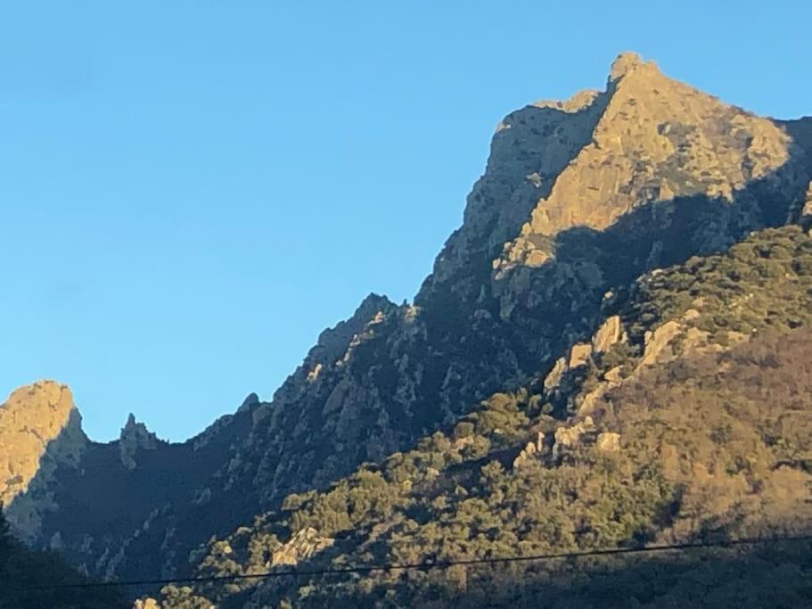 La Bergerie Saint-Vincent (Herault)