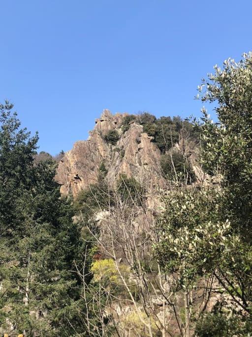 La Bergerie Saint-Vincent (Herault)