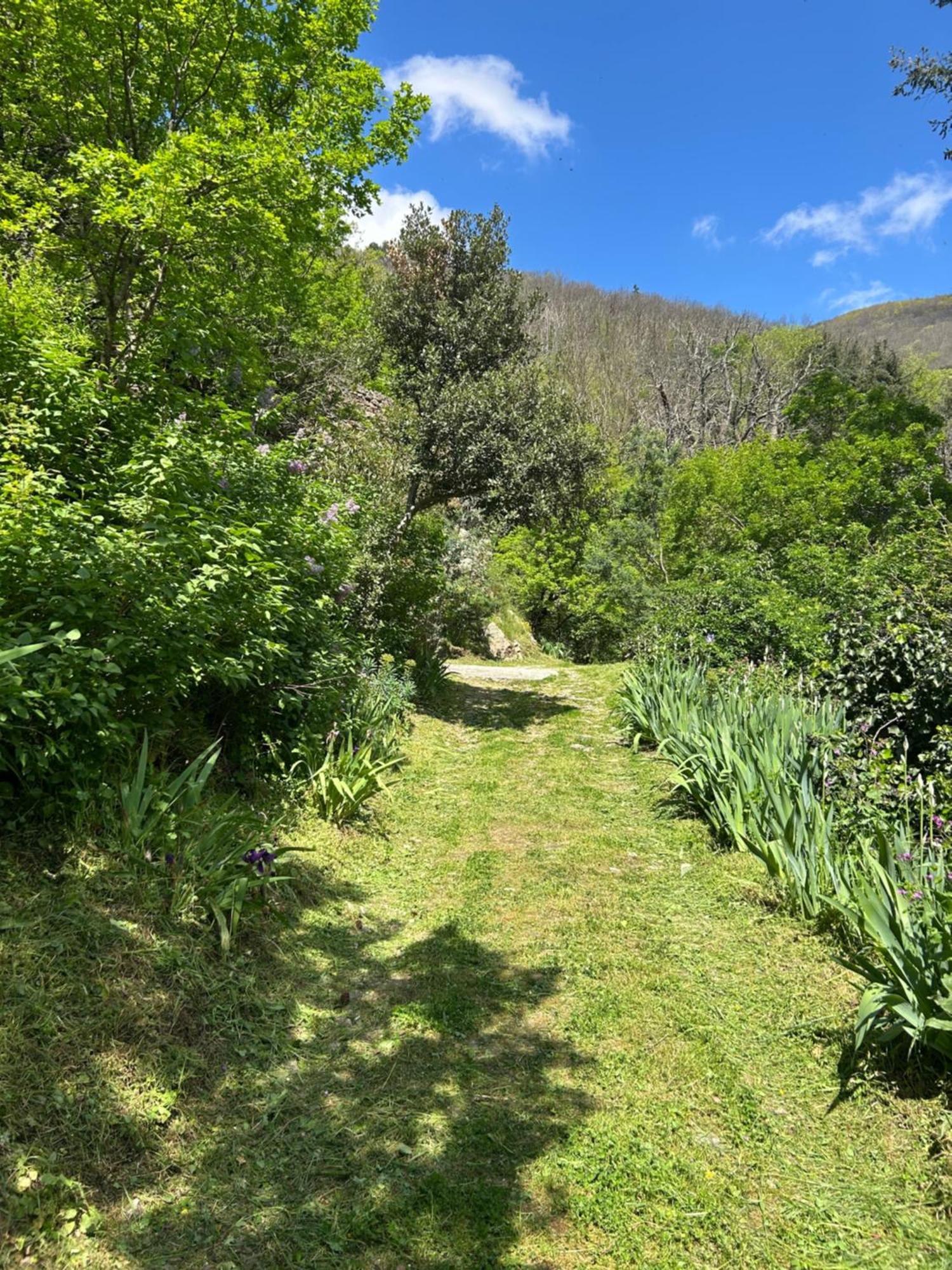 La Bergerie * Saint-Vincent (Herault)